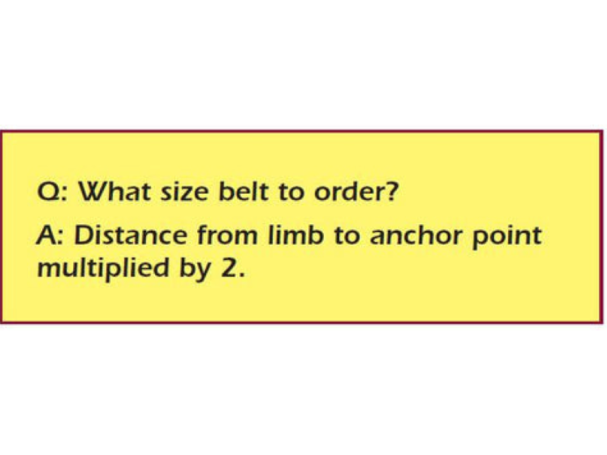 Non-Locking Belt - SWS Group